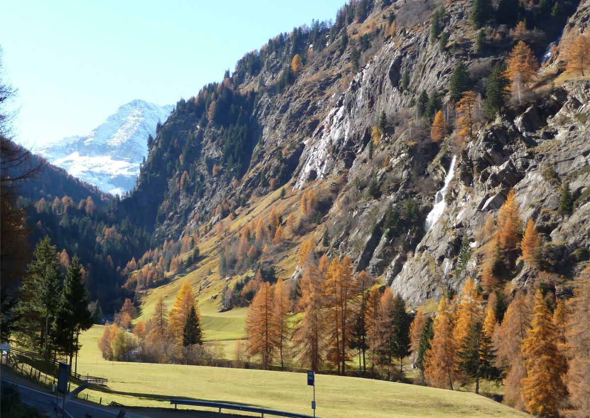 Panoramic view