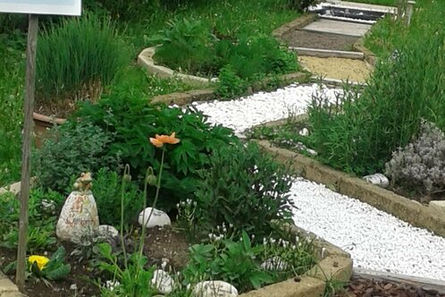 Giardino