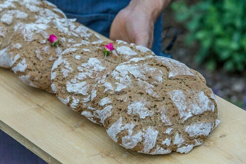 pane