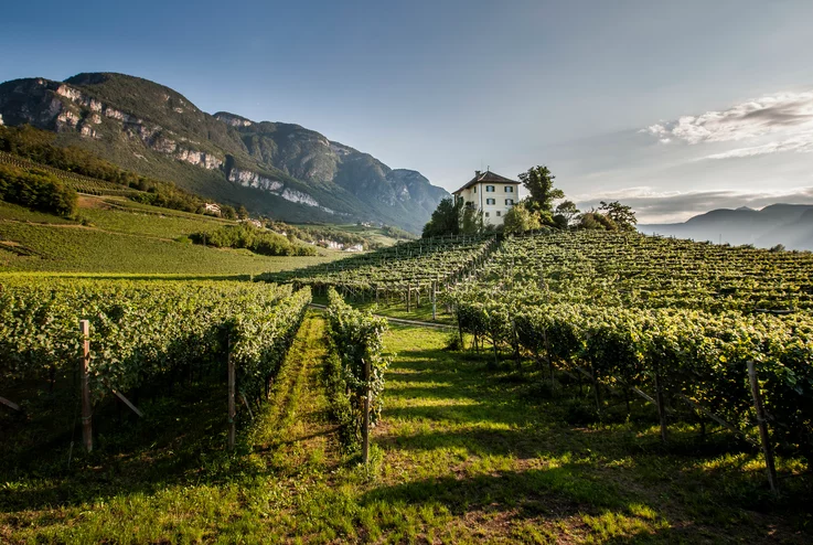 H La strada del vino 1977 . Frass In Alto Adige 
