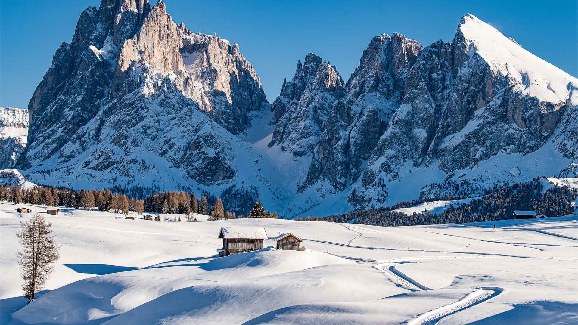 Winter hike to Mont Seuc • South Tyrol