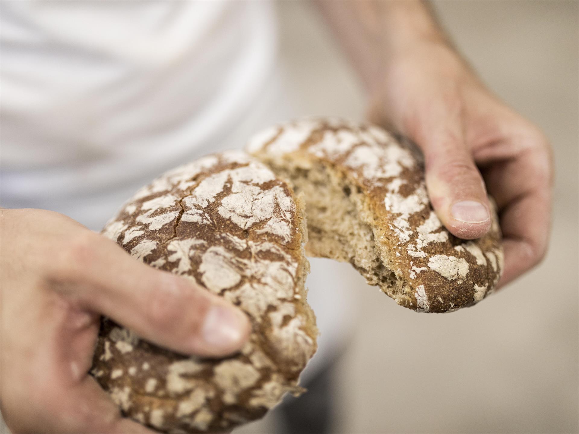 Schüttelbrot und Vinschgerlen - Südtiroler Brotbackkurs | suedtirol.info