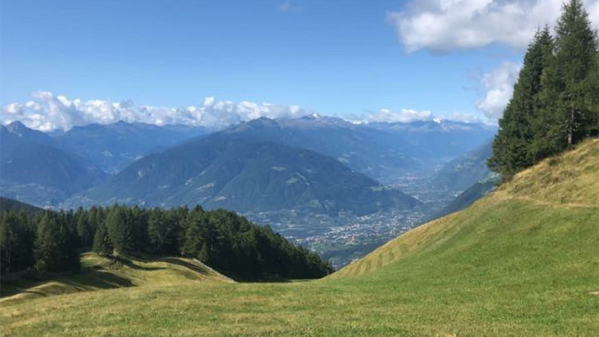 Stafell Alm • Schenna (Südtirol) Stafell Alm • Schenna (Südtirol)