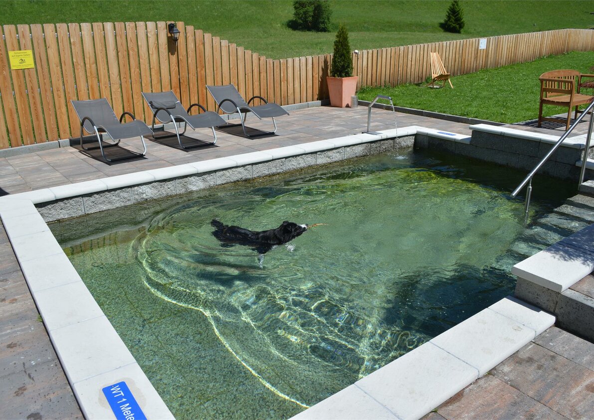 Dogpool
