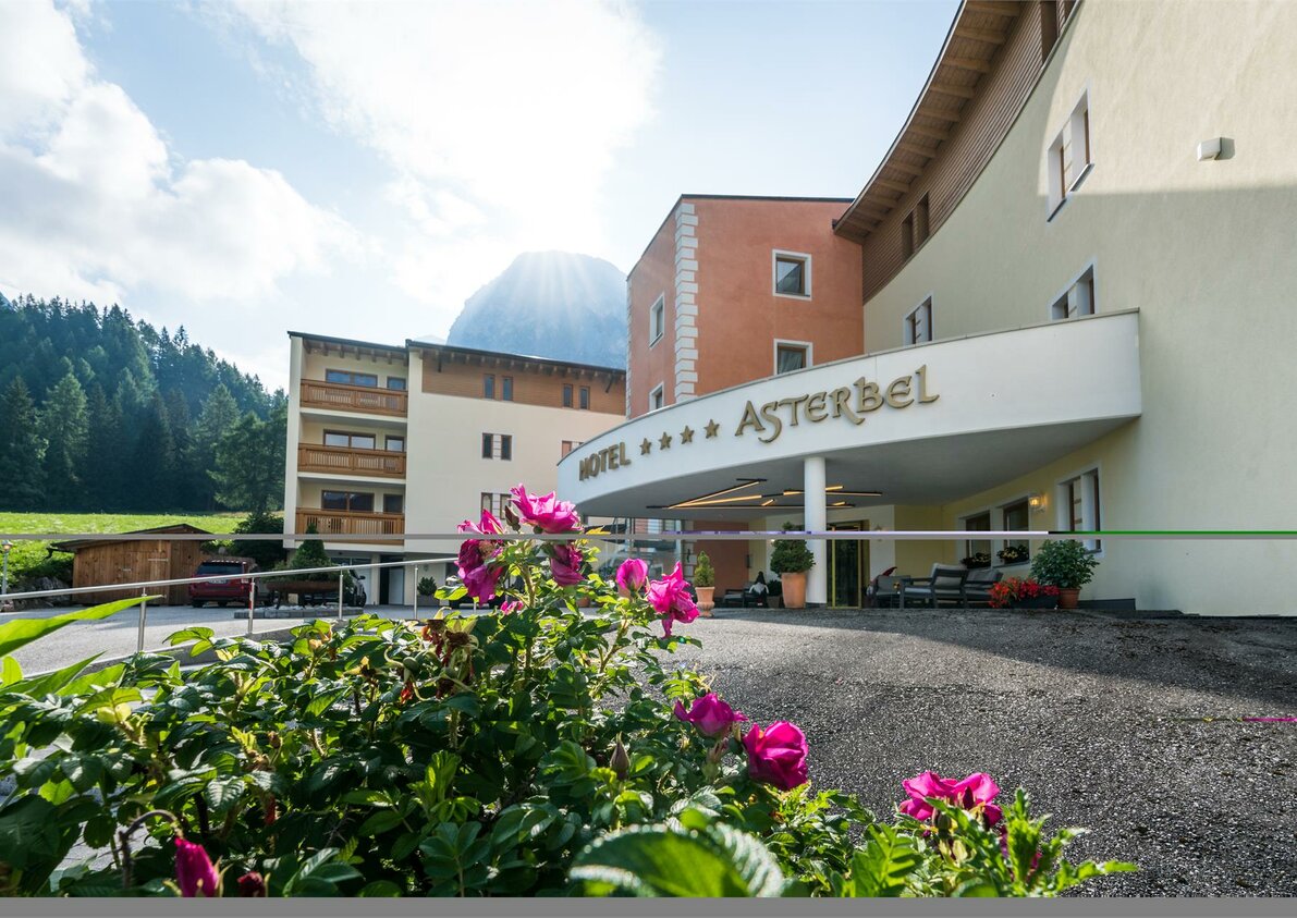 Asterbel Sommer