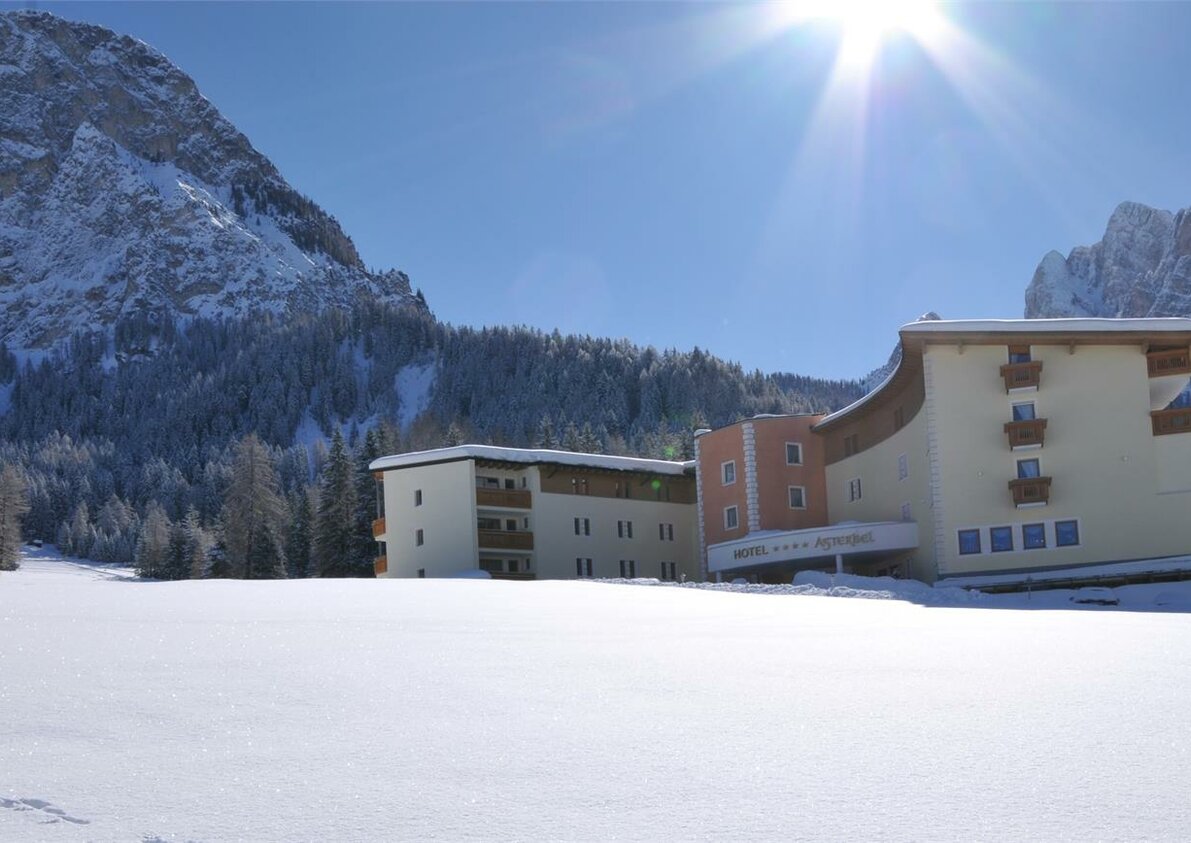 Asterbel Winter