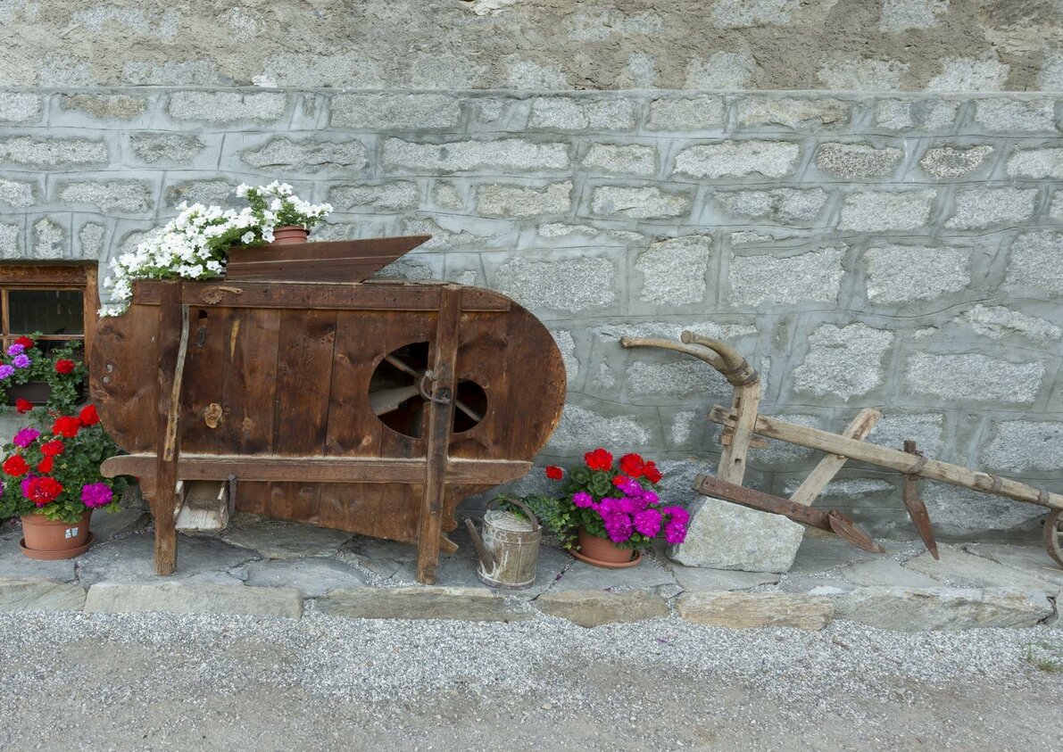Hoferpauler