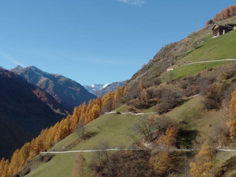 Montferthof