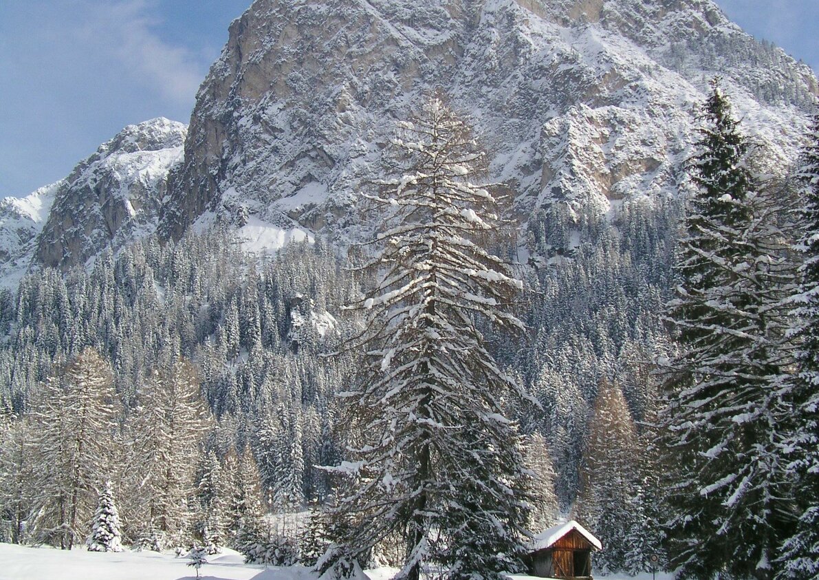 Panorama in inverno