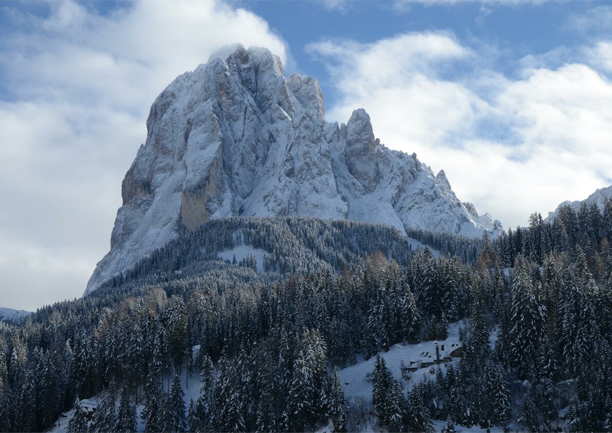 Vista