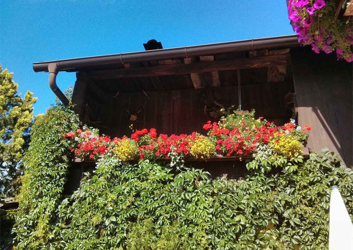 balcone