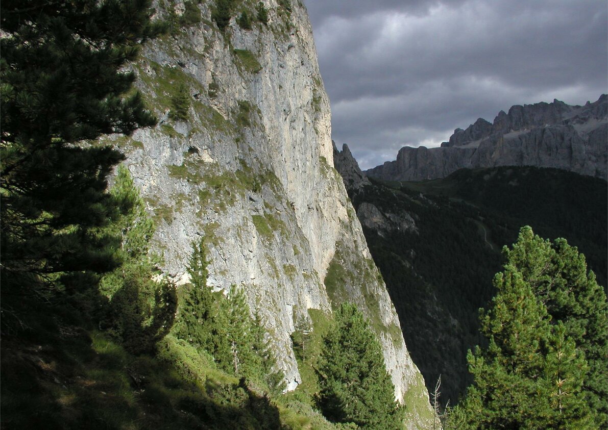 Immagini