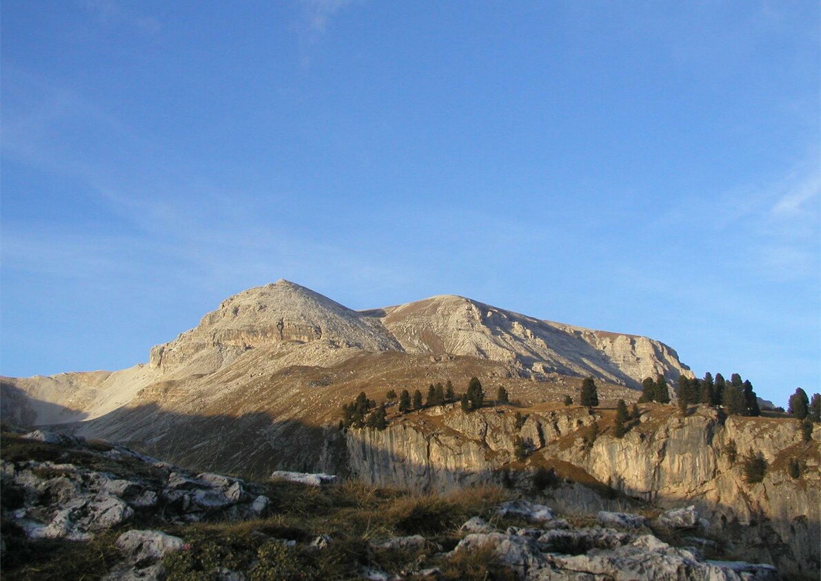 Immagini