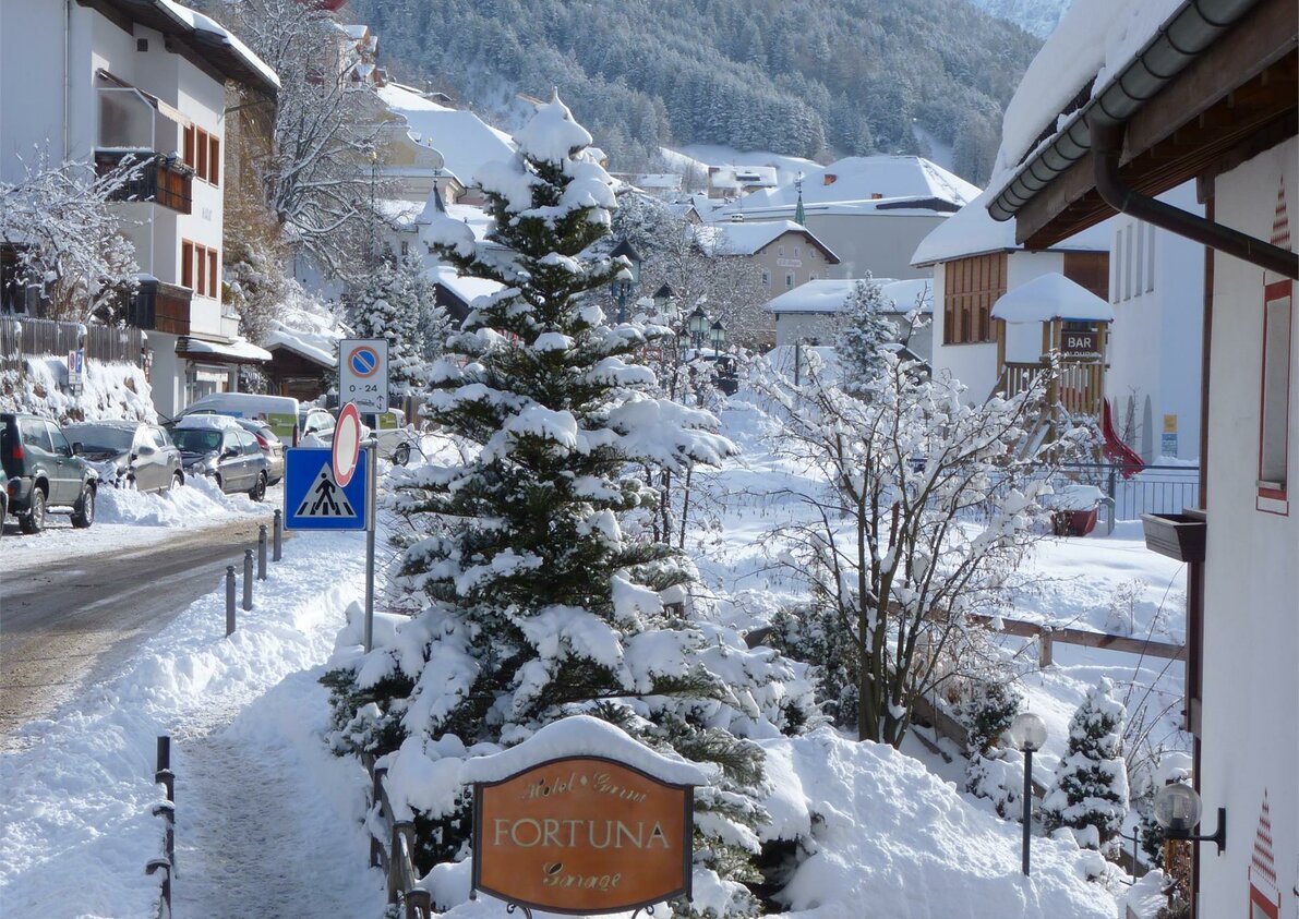 Neve