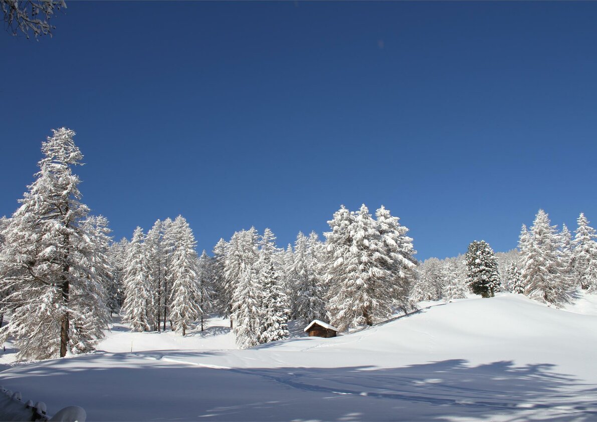 Inverno