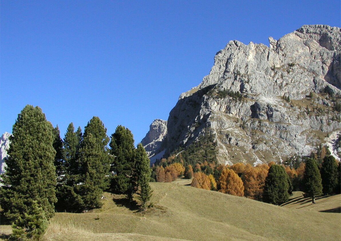 Immagini