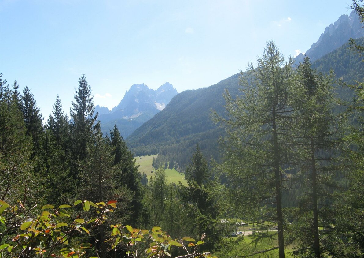 Bühlerhof