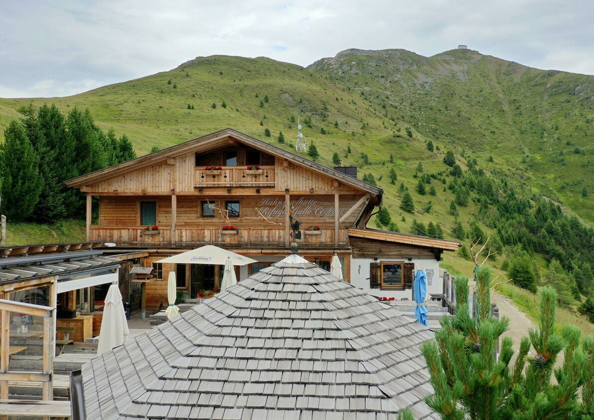 Rifugio Gallo Cedrone