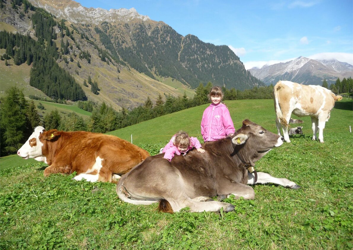 Holiday on a farm Hütterwirtshof