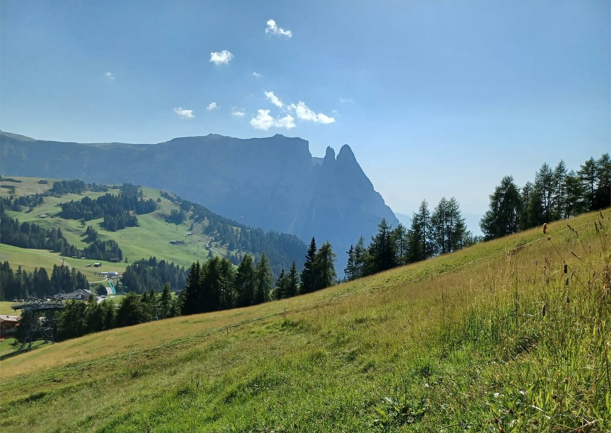 Schlern