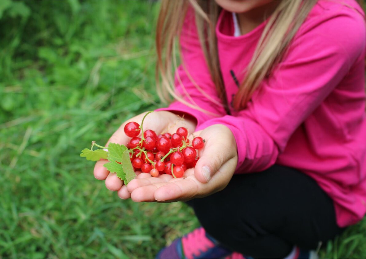 fruits of the garden