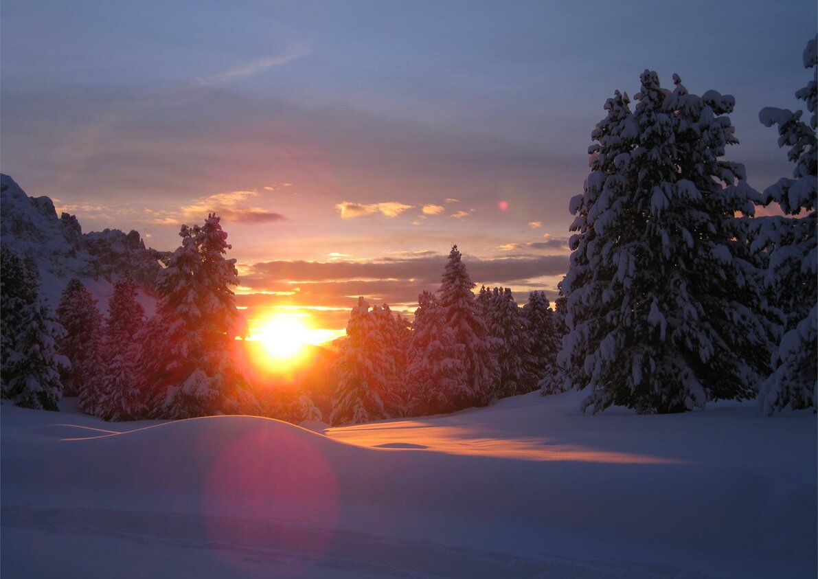 Winter
