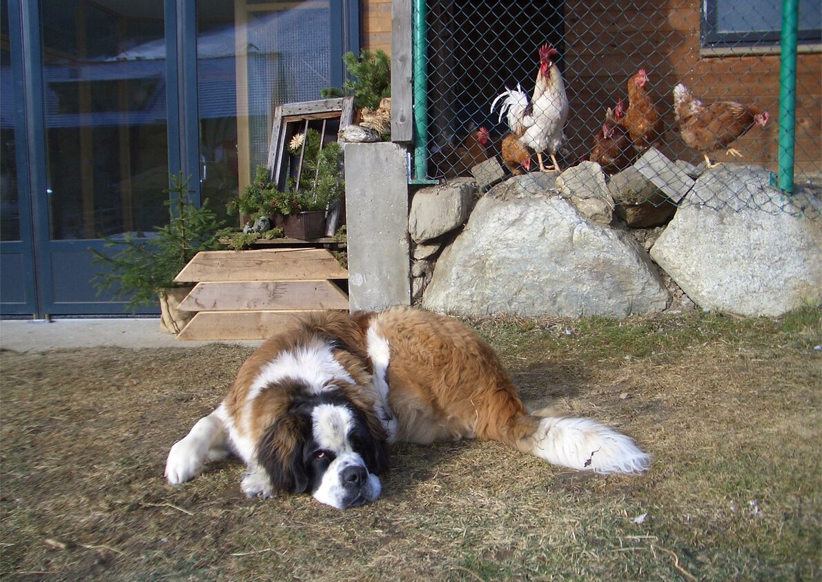 Demonstration farm
