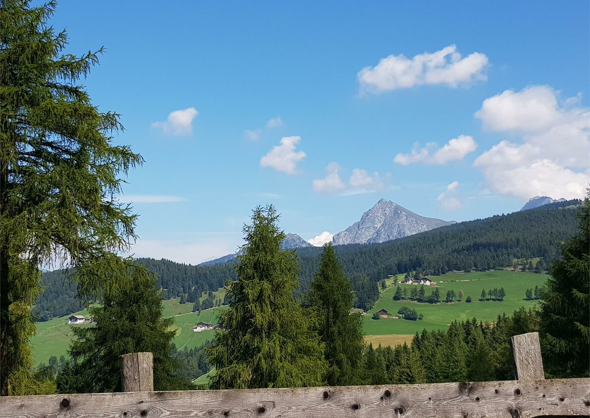 Umgebung