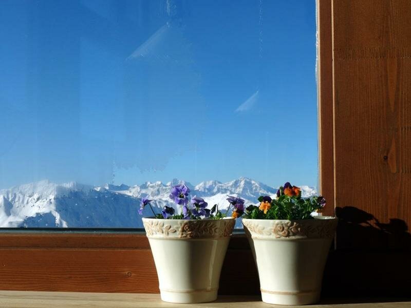 Similaunhütte
