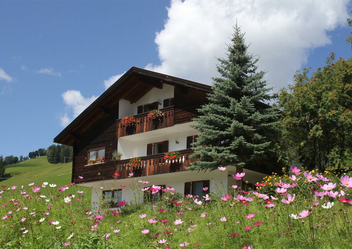 Daunëi/Sommerbild