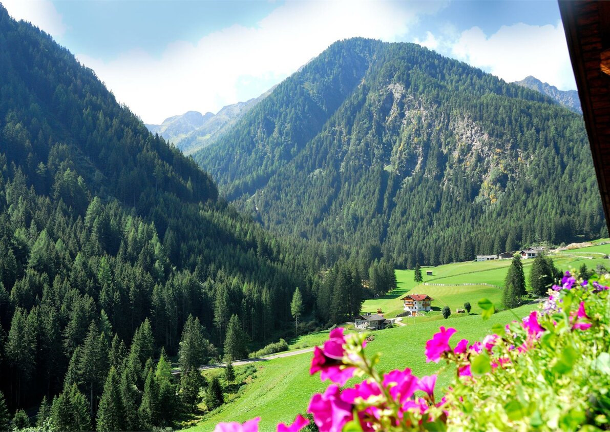 Panorama