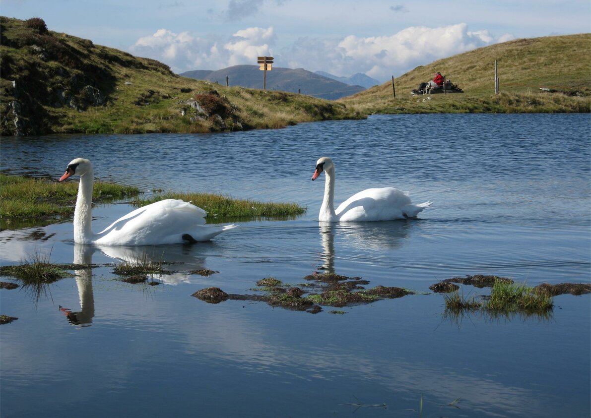 Lago