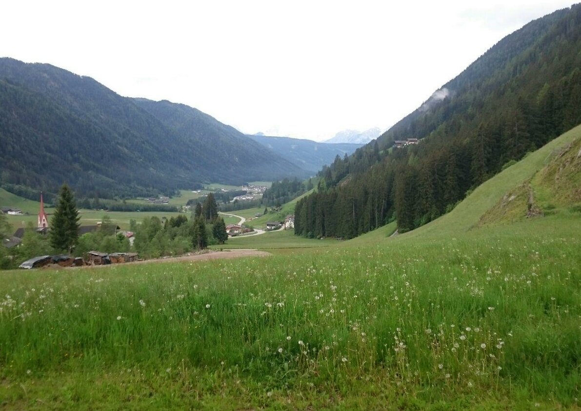vista