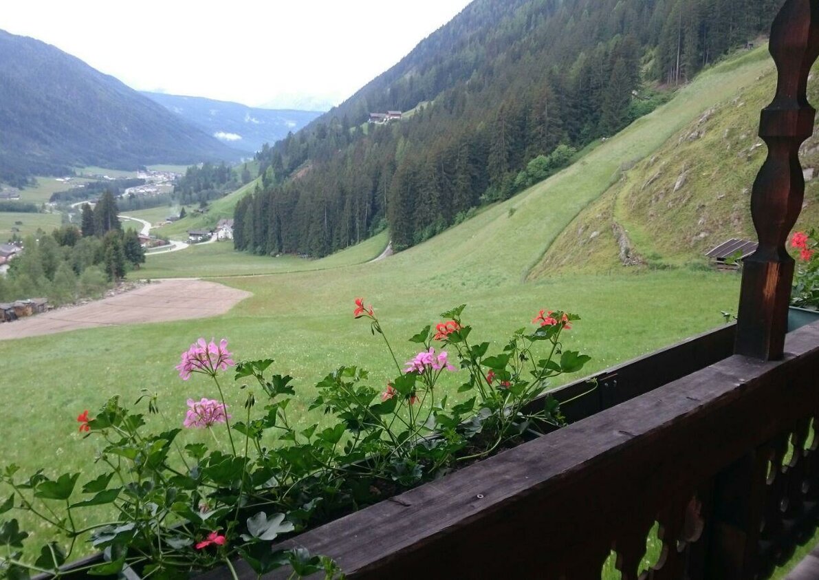vista