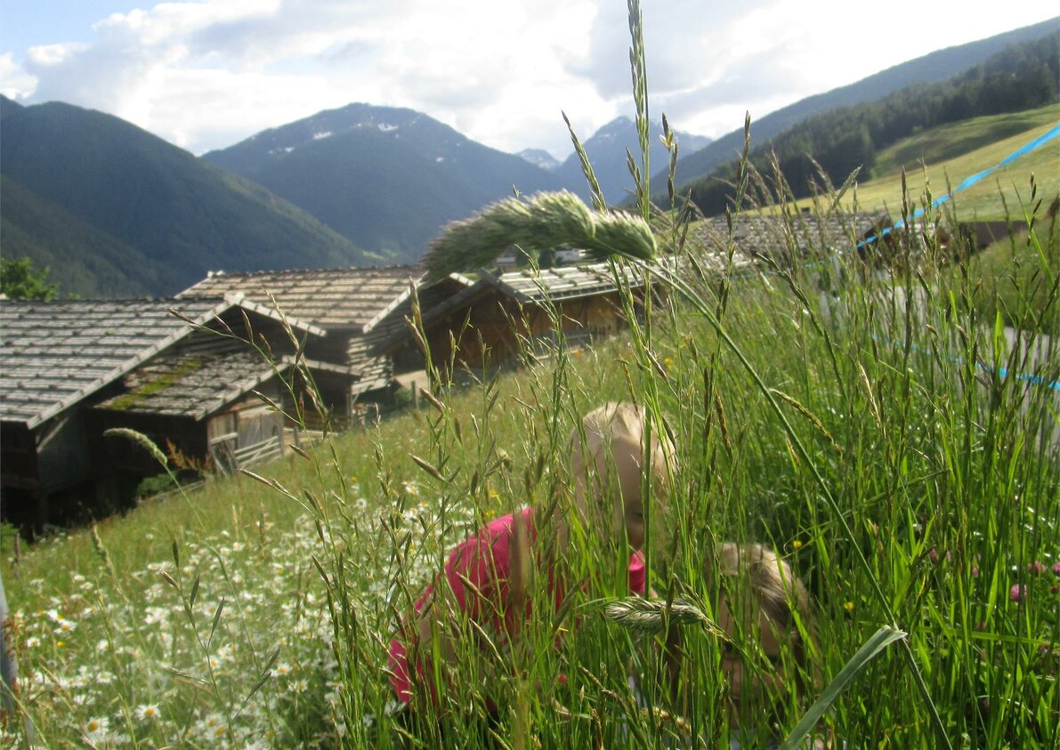 Versteckspiel im Heu - Blick zum Oberhof