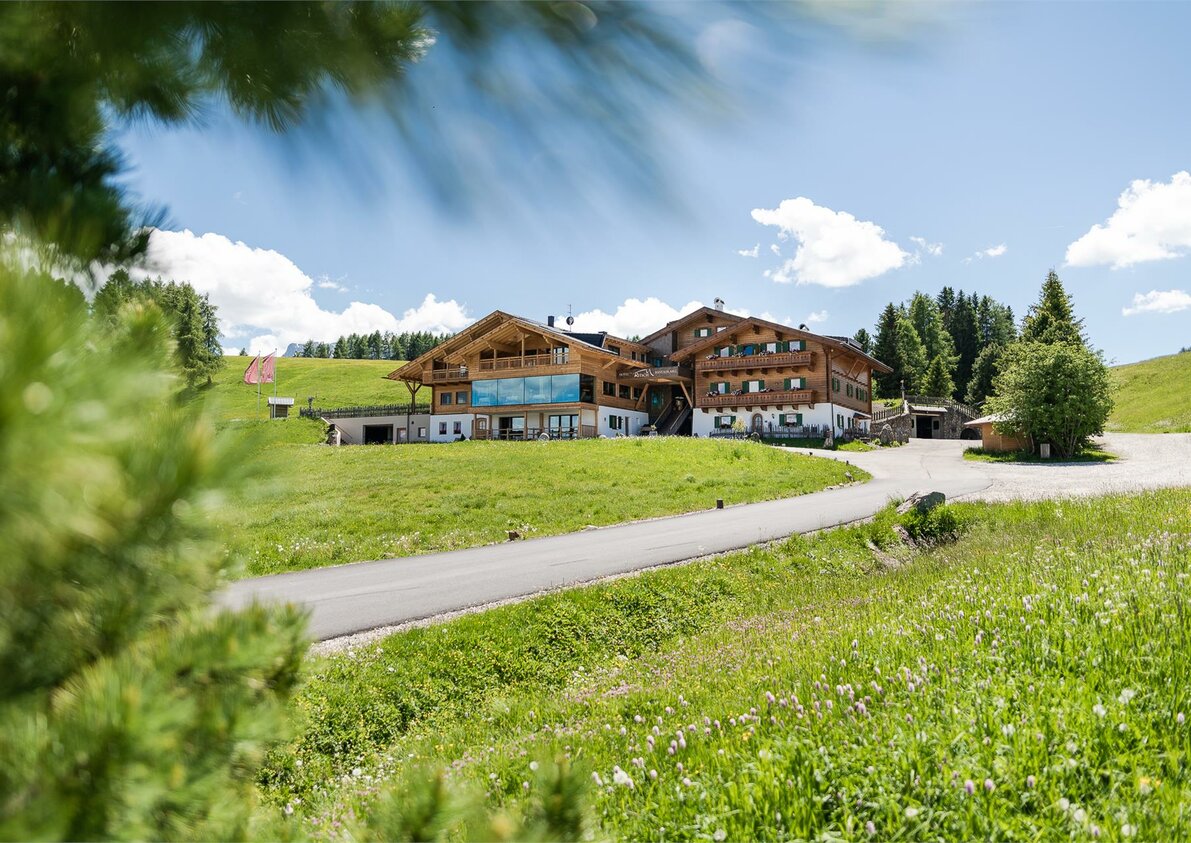 Ritsch - Seiser Alm - South Tyrol