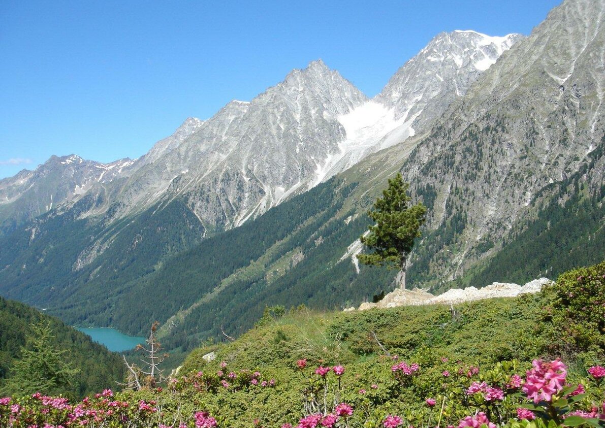 Anterselva