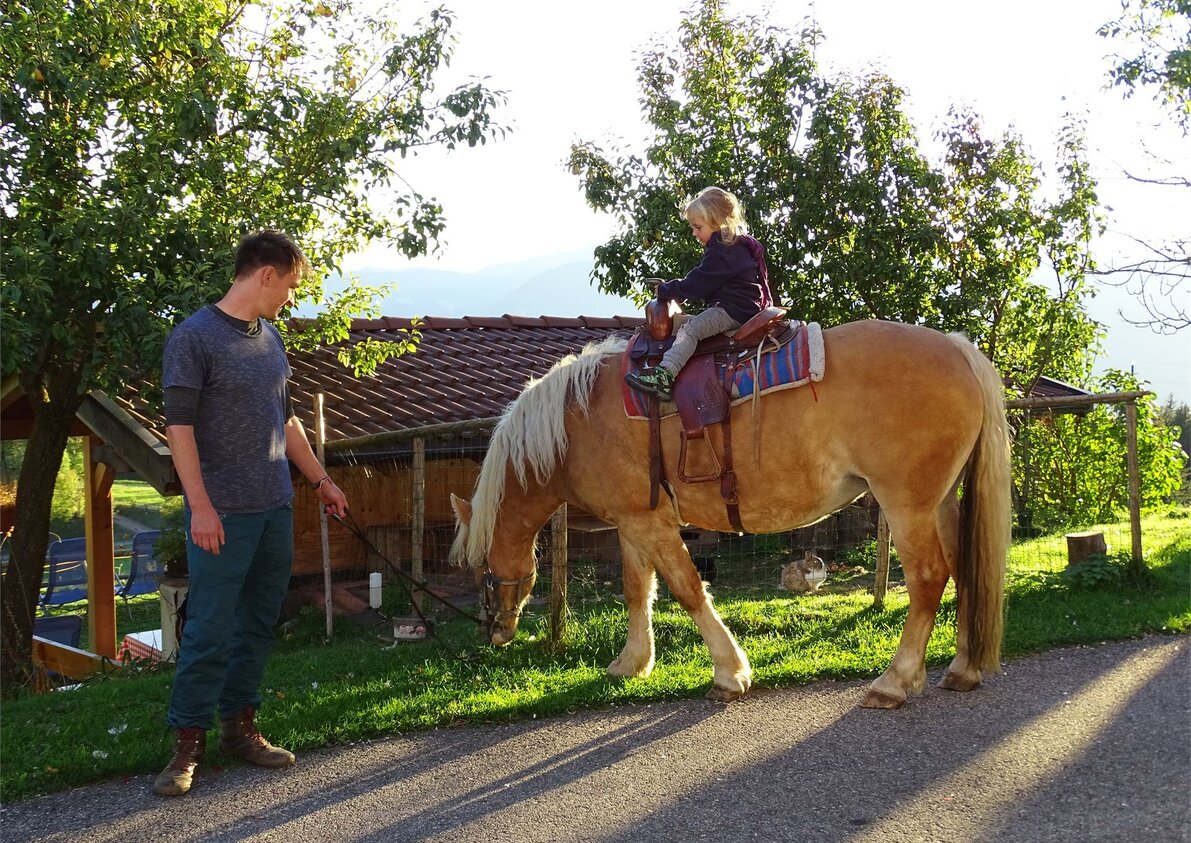 Own riding stable for our guests at Rotsteinhof farm in Verano/Vöran, South Tyrol