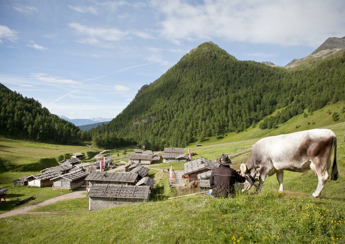 Malga Fane
