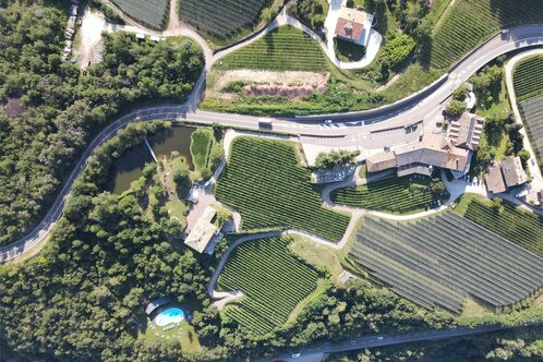 Hotel Tenz e il nostro vigneto di Pinot Nero