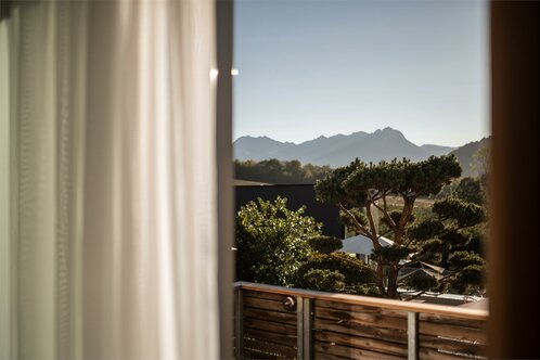 Aussicht von Zimmer Park Studio auf Dachgarten