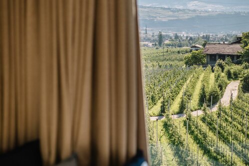 Zimmeraussicht Doppelzimmer Deluxe Sissi