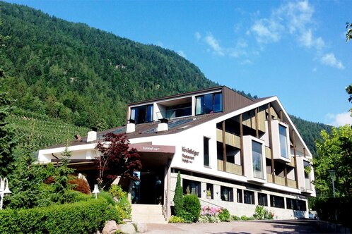 Hotel - Restaurant Kirchsteiger