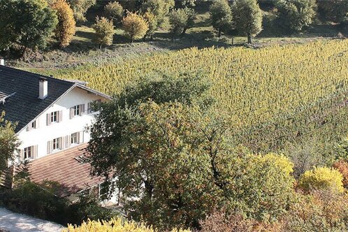 Ferienheim Castelfeder