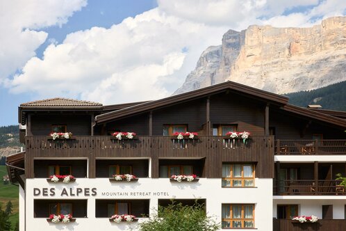Hotel Des Alpes