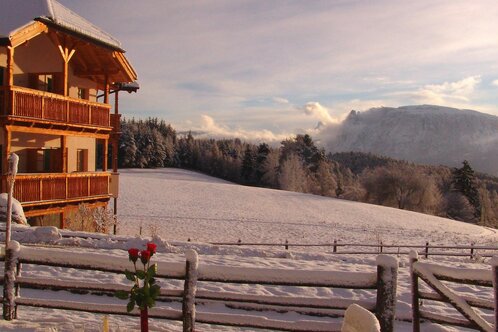 Hotel Naturidylle Geyrerhof
