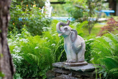 Hotel Elephant