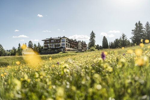 Hotel Steger-Dellai