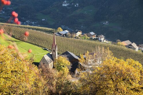 Saubach
