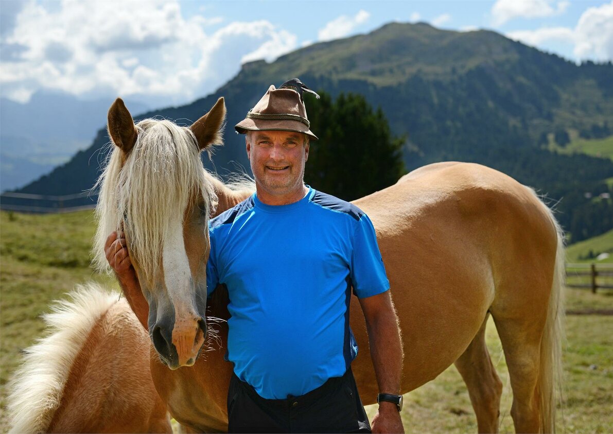 unsere Pferde